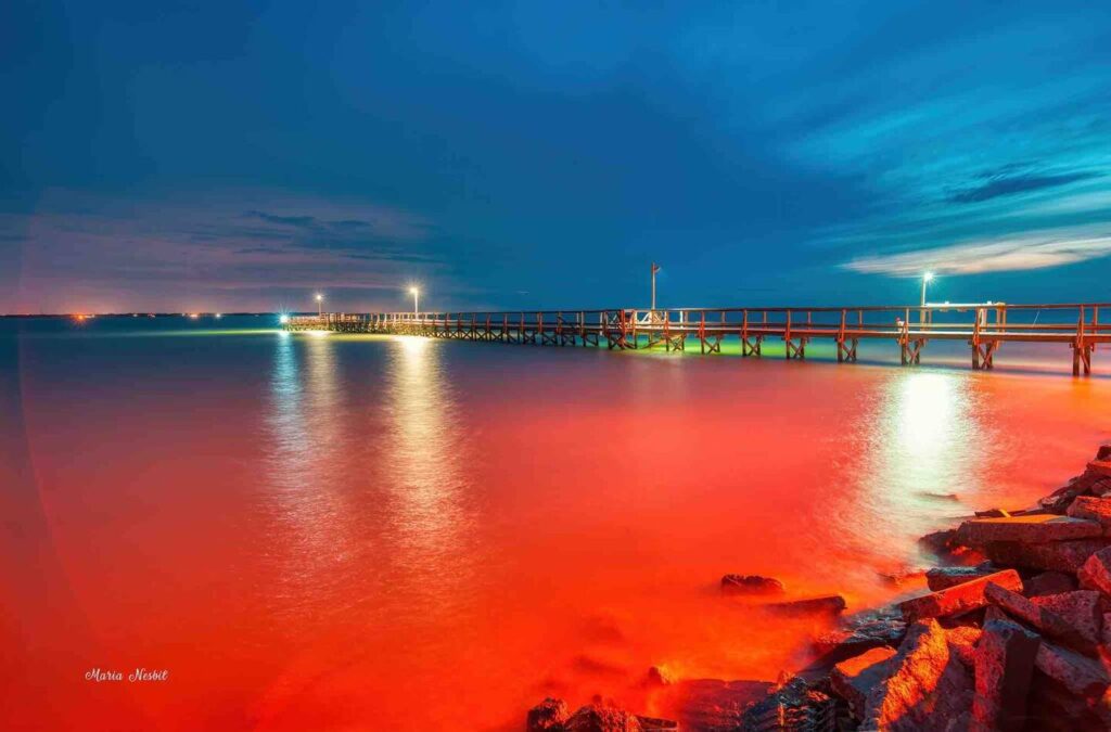 Copano Bay Fishing Tips: Ultimate 2026 May Guide!